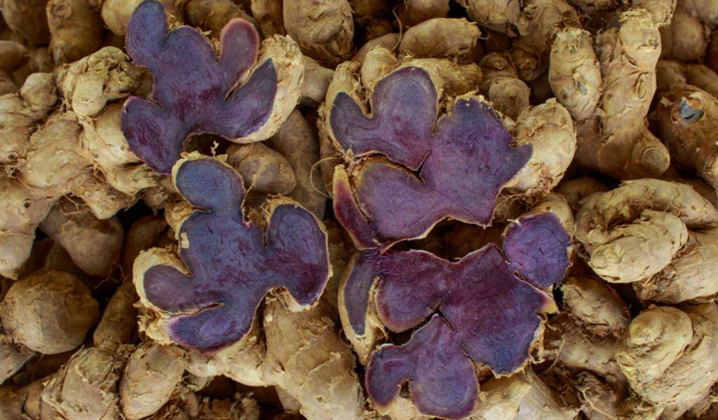 black ginger